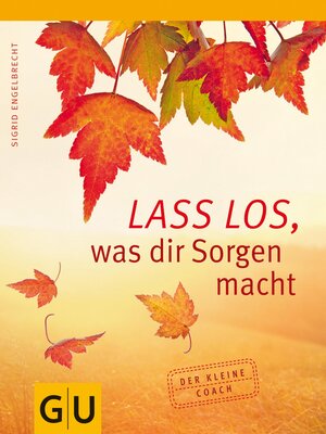 cover image of Lass los, was Dir Sorgen macht